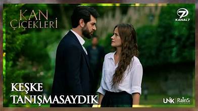 Kan Çiçekleri Season 2 Episode 377 with English Subtitles